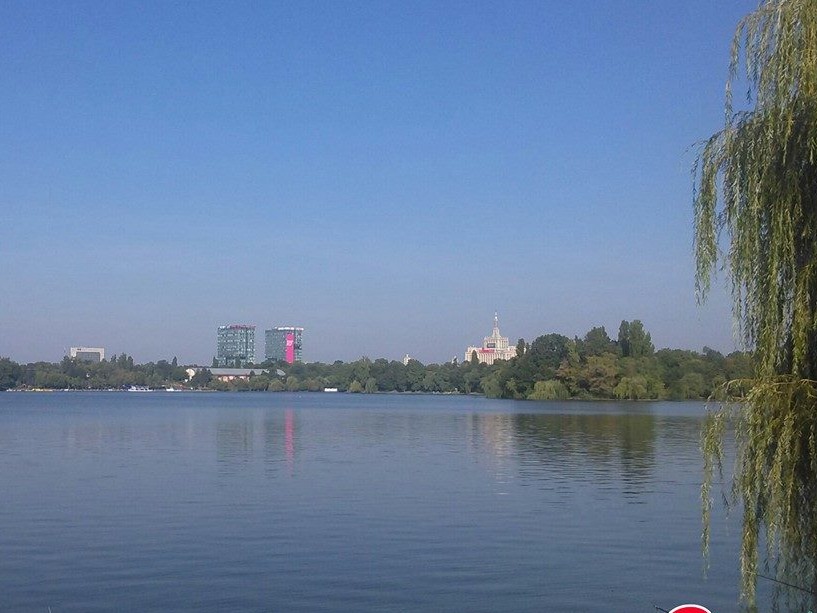 NEWS ALERT Descoperire macabră în Capitală! O femeie a fost găsită înecată în lacul Herăstrău