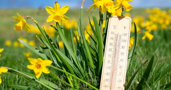 prognoza meteo 