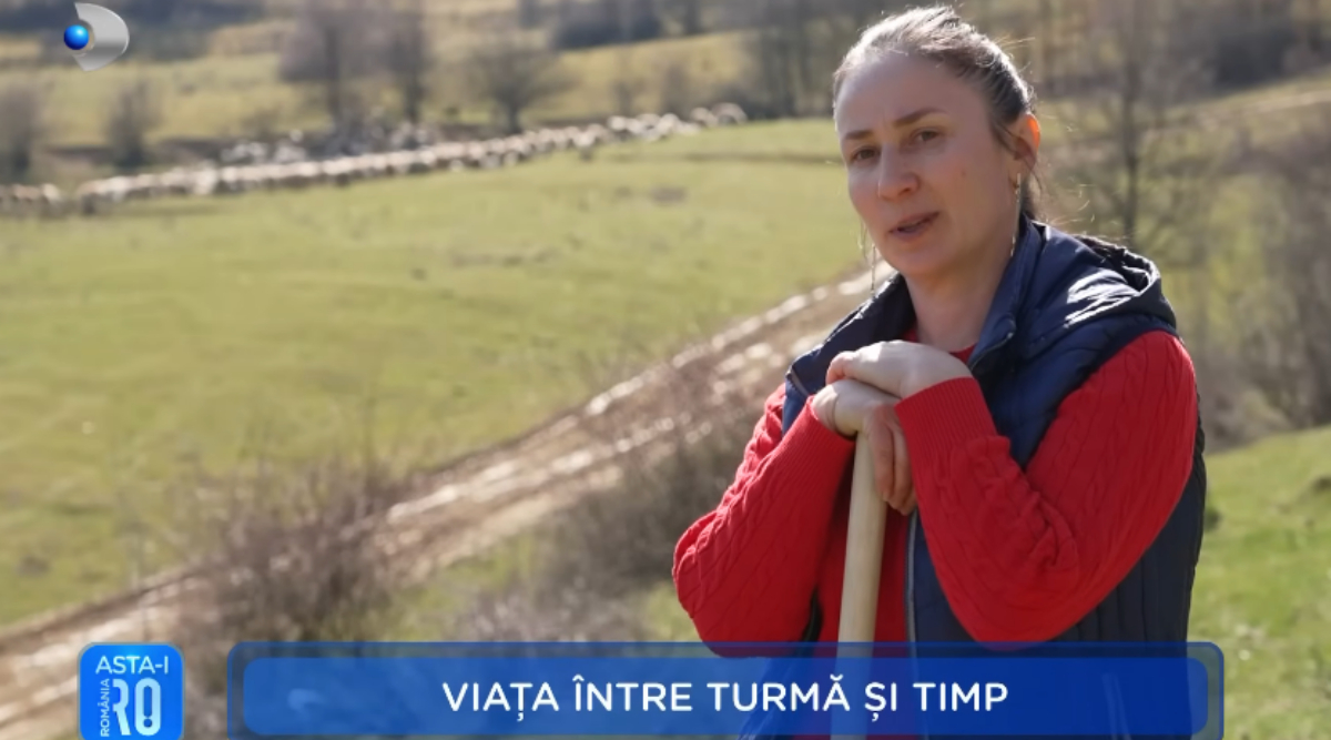 Viața între turmă și timp. Uța ciobănița este femeia care are în grijă 400 de oi și care duce moștenirea de familie mai departe: ,,De aici ne ținem casă, copiii la facultate”