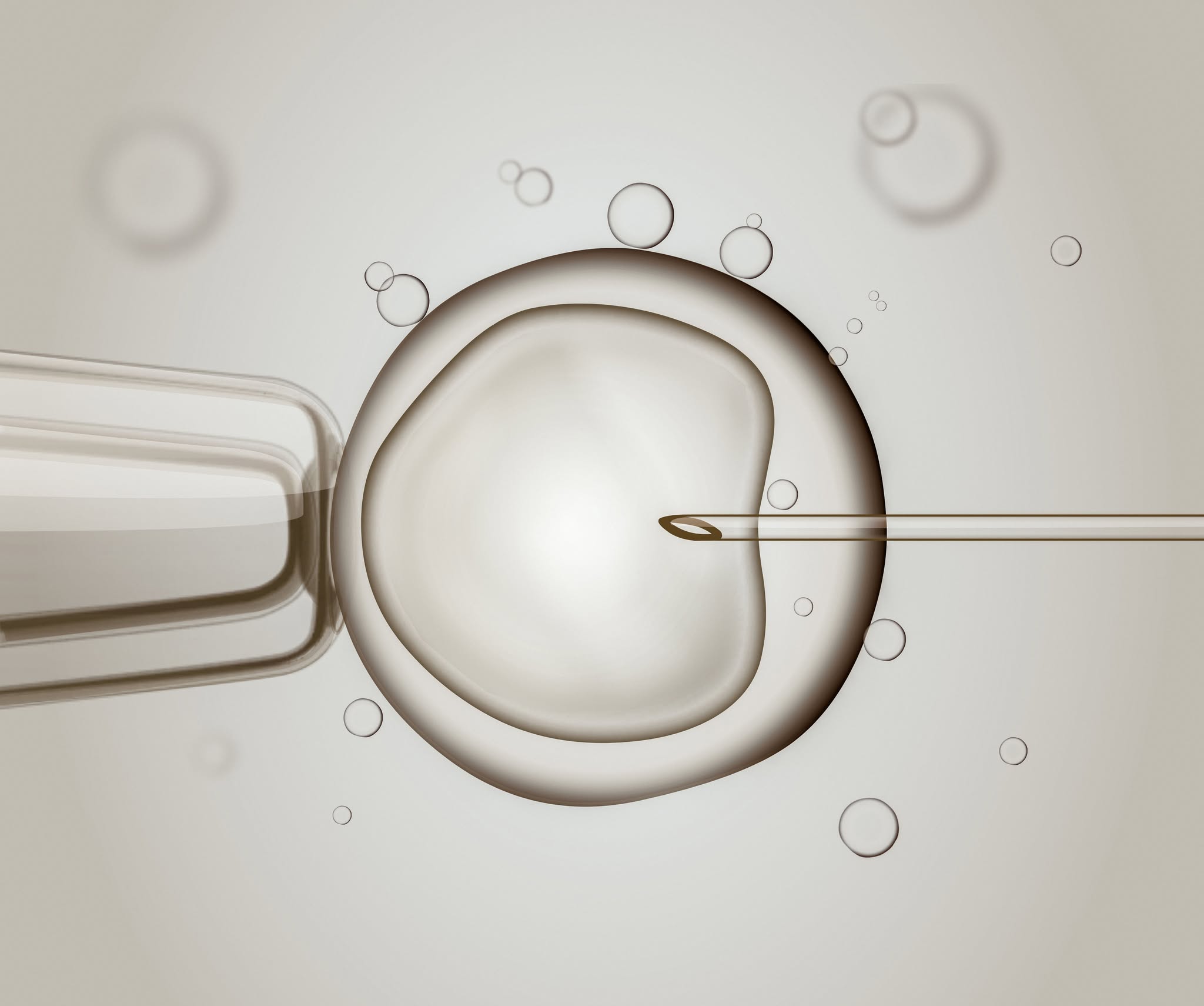 Guvernul a aprobat voucherele pentru fertilizarea in vitro, până în 2030. Anual vor fi 10.000 de beneficiari