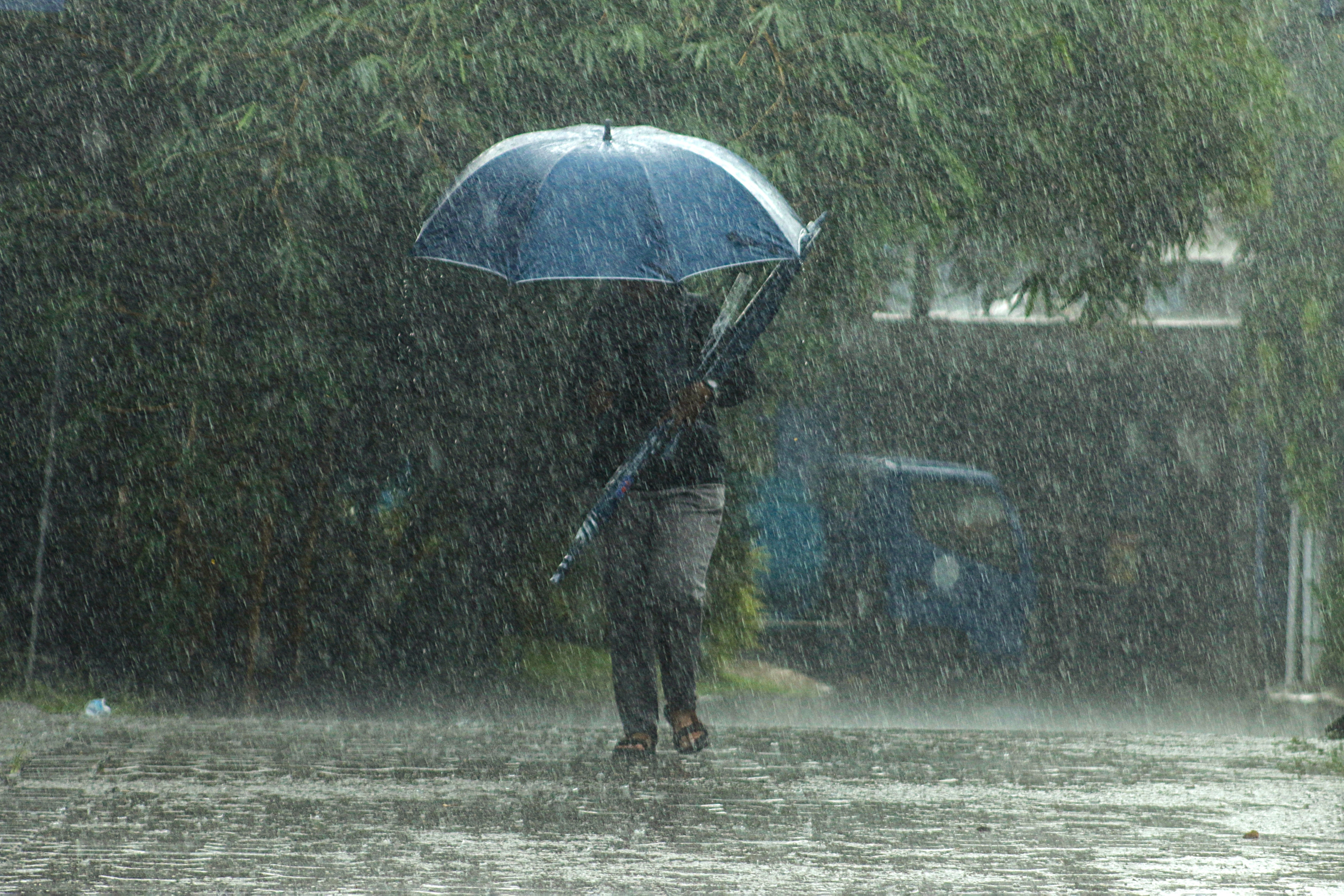 Temperaturile scad semnificativ în următoarele zile! Meteorologii ANM anunță ninsori, ploi și rafale de vânt 