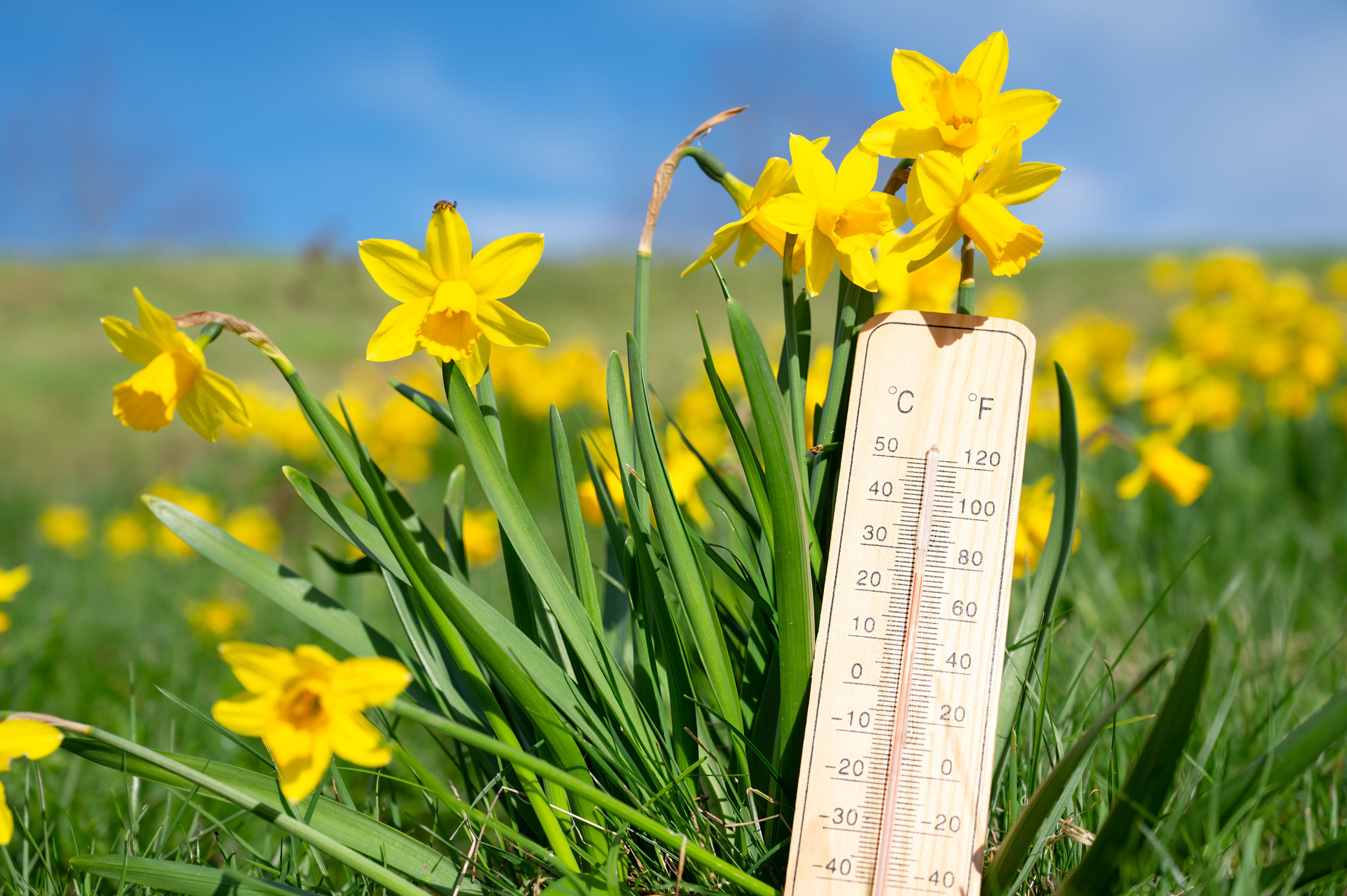 Prognoza meteo ANM luni, 4 mai 2026: Meteorologii anunță temperaturi de peste 25 de grade Celsius