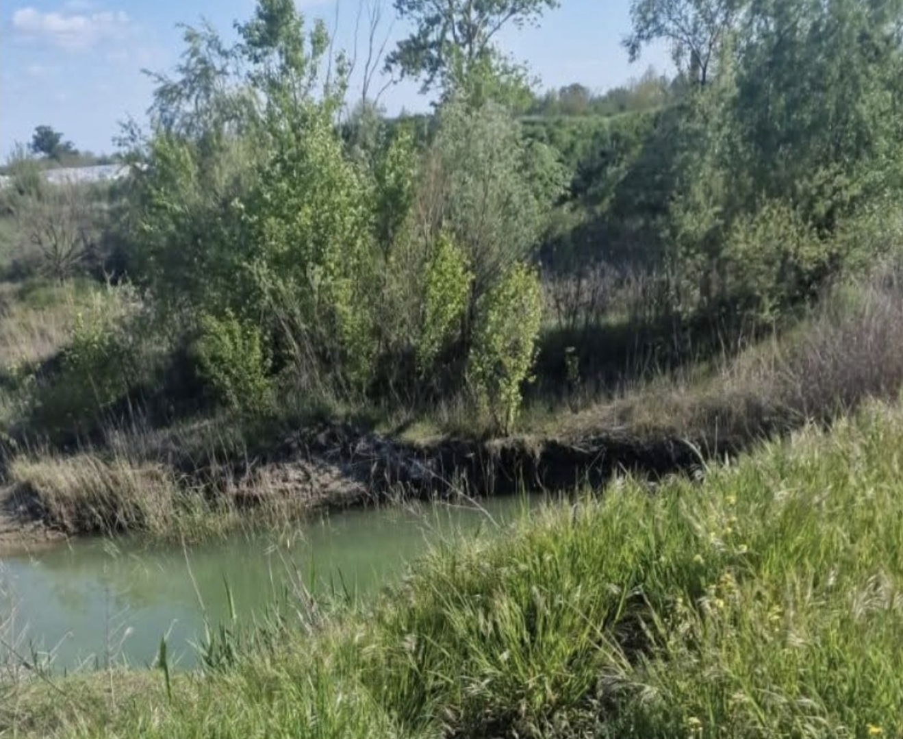 Copil de 4 ani, dat dispărut de mama sa, în Vrancea, găsit fără suflare într-o baltă neamenajată. Acesta a fugit de lângă mama lui în timp ce se aflau, în vizită, la rude