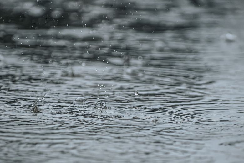 prognoza meteo 