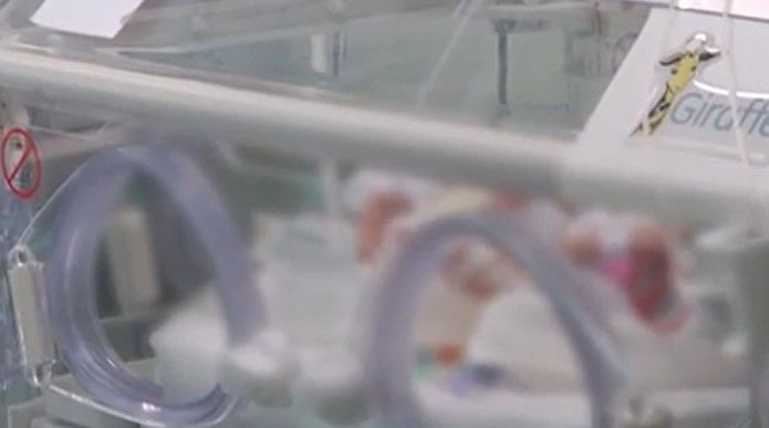 incubator