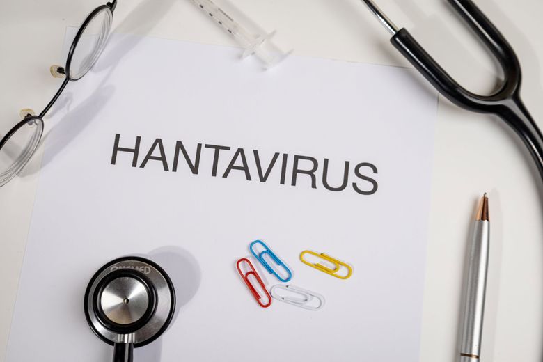 Hantavirus