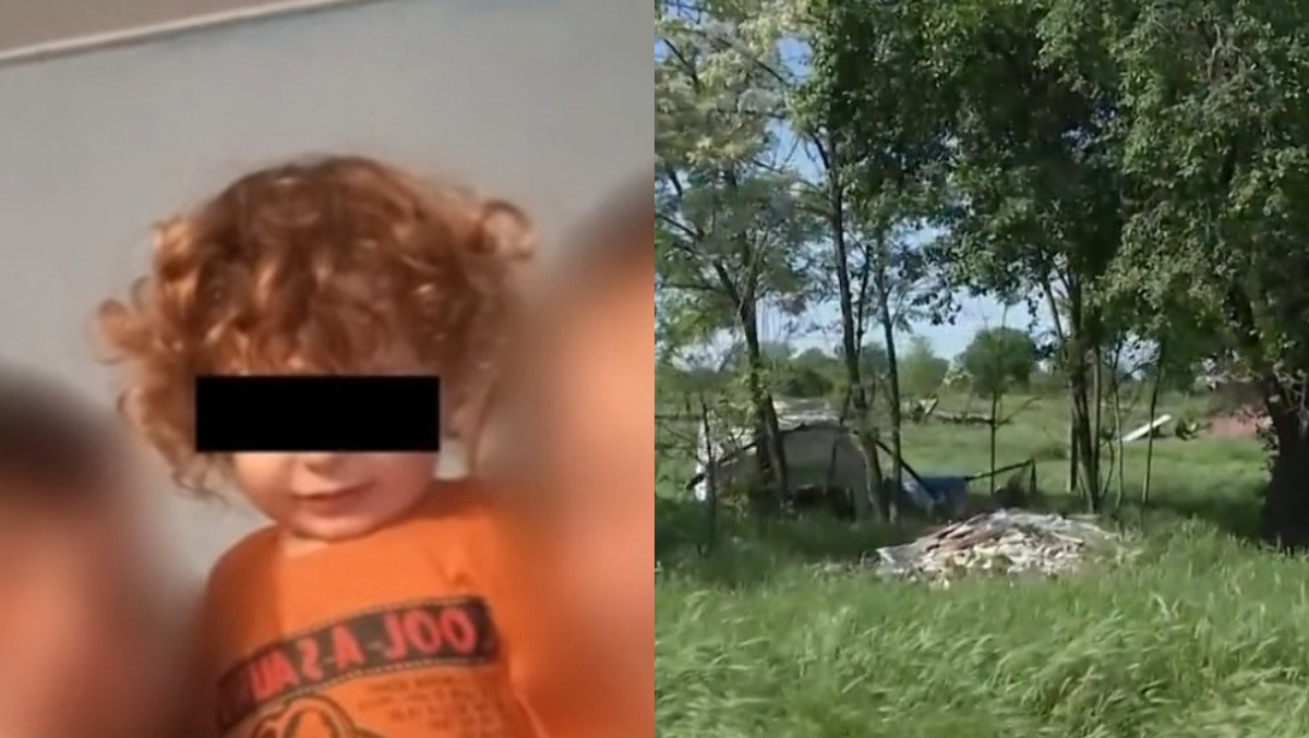 Ce a ieșit la iveală după tragedia din Buzău, unde Teo a fost mușcat de un câine. Familia acuză proprietarul stânei de mușamalizare: „Acel câine ar fi fost dezlegat”