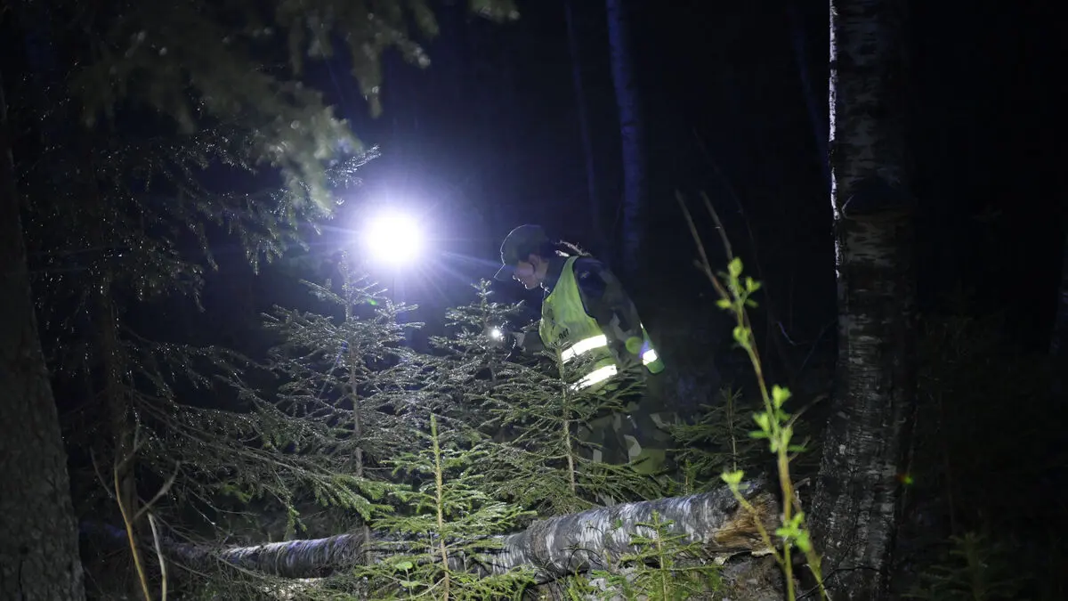 Un băiețel român de 2 ani găsit în viață după ce a dispărut 12 ore într-o pădure din Suedia