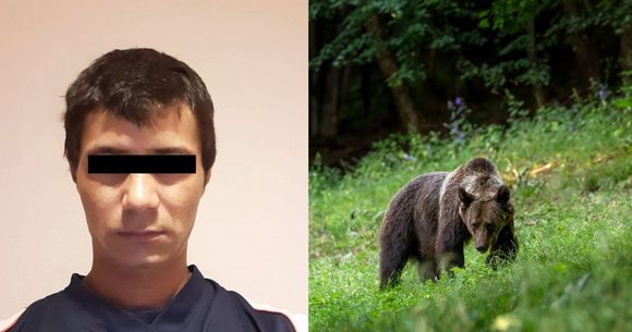 Cine este bărbatul de 34 de ani găsit fără viață după ce ar fi fost sf&acirc;șiat de un&nbsp;urs &icirc;n județul Sibiu