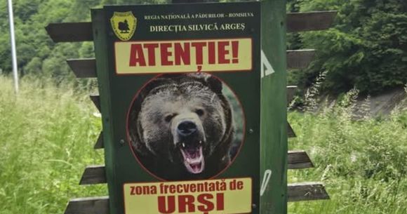 Trei turiști au fost atacați luni, 8 iunie, pe Transfăgărășan.