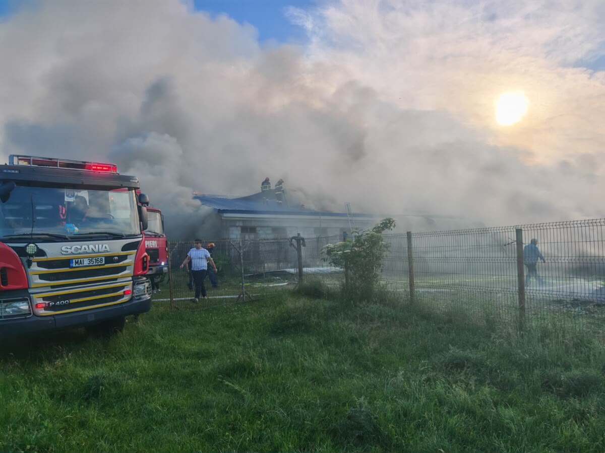 BREAKING NEWS O întreagă fermă de porci a fost mistuită de foc în Milișăuți, județul Suceava