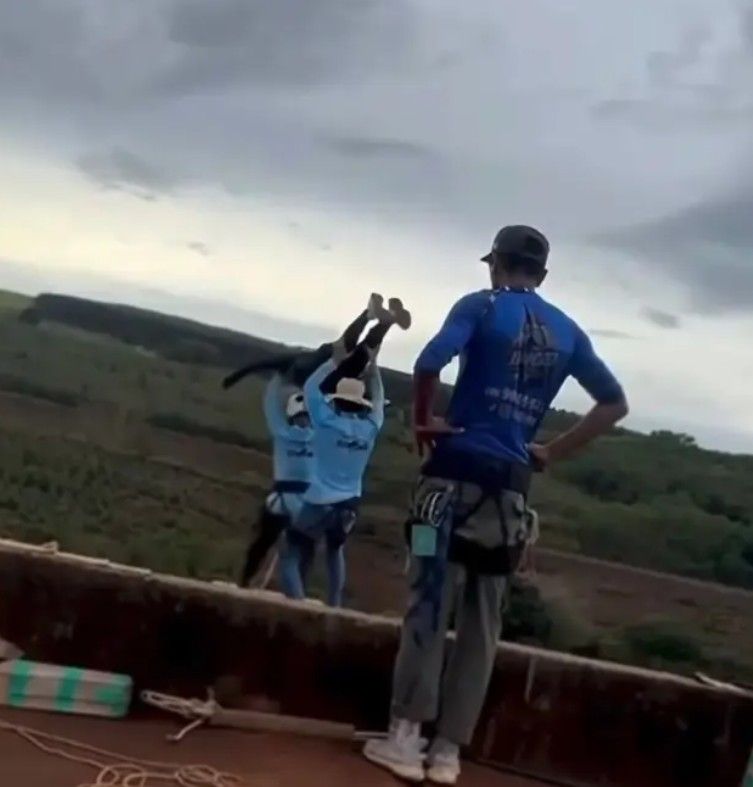 Bungee Jumping Brazilia
