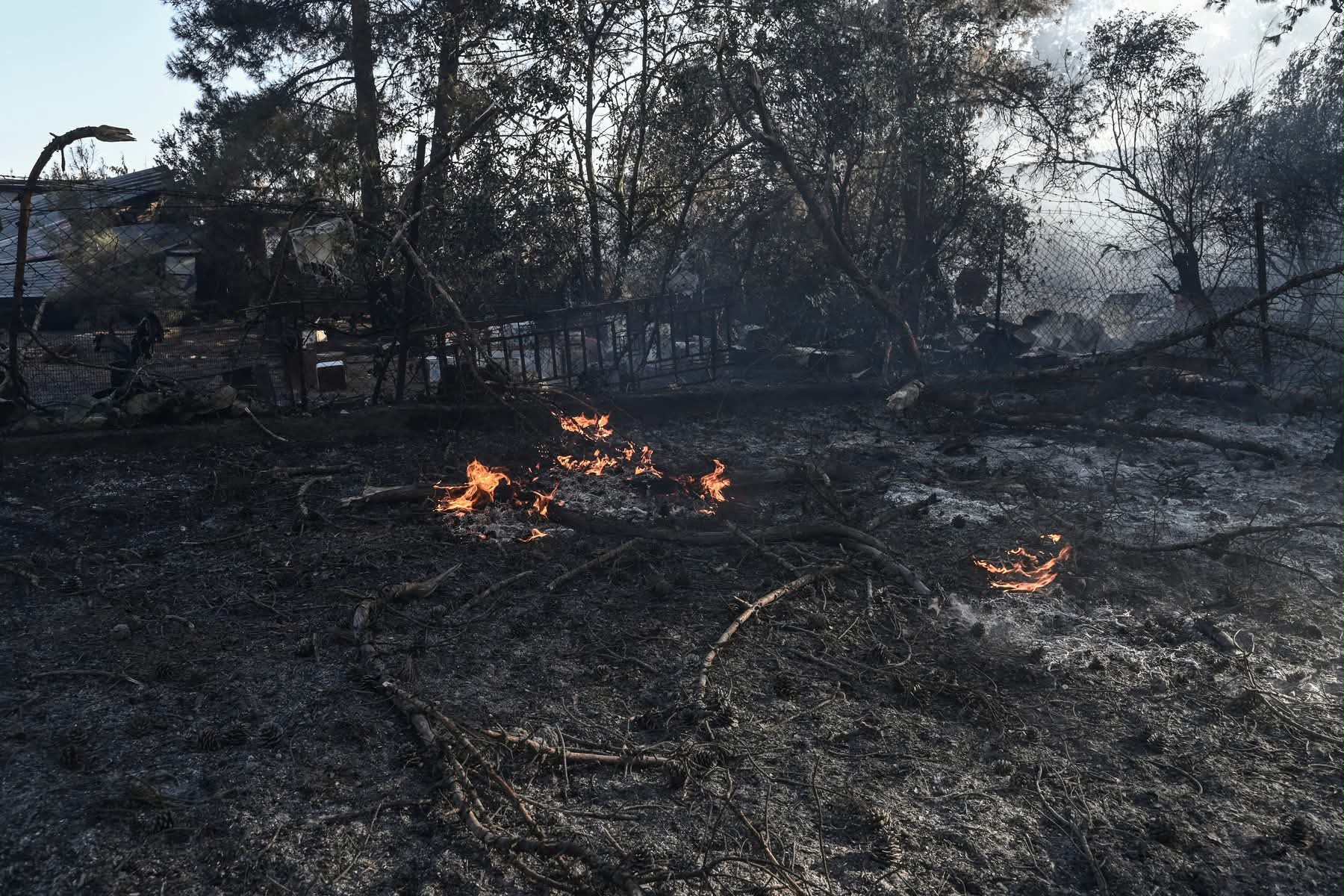 Incendiile de vegetație fac ravagii în nordul Greciei. Două persoane și-au pierdut viața