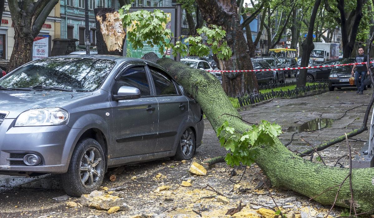 Vreme extremă în România. Furtunile au provocat pagube serioase, iar un bărbat s-a stins din viață, în Vaslui, din cauza caniculei