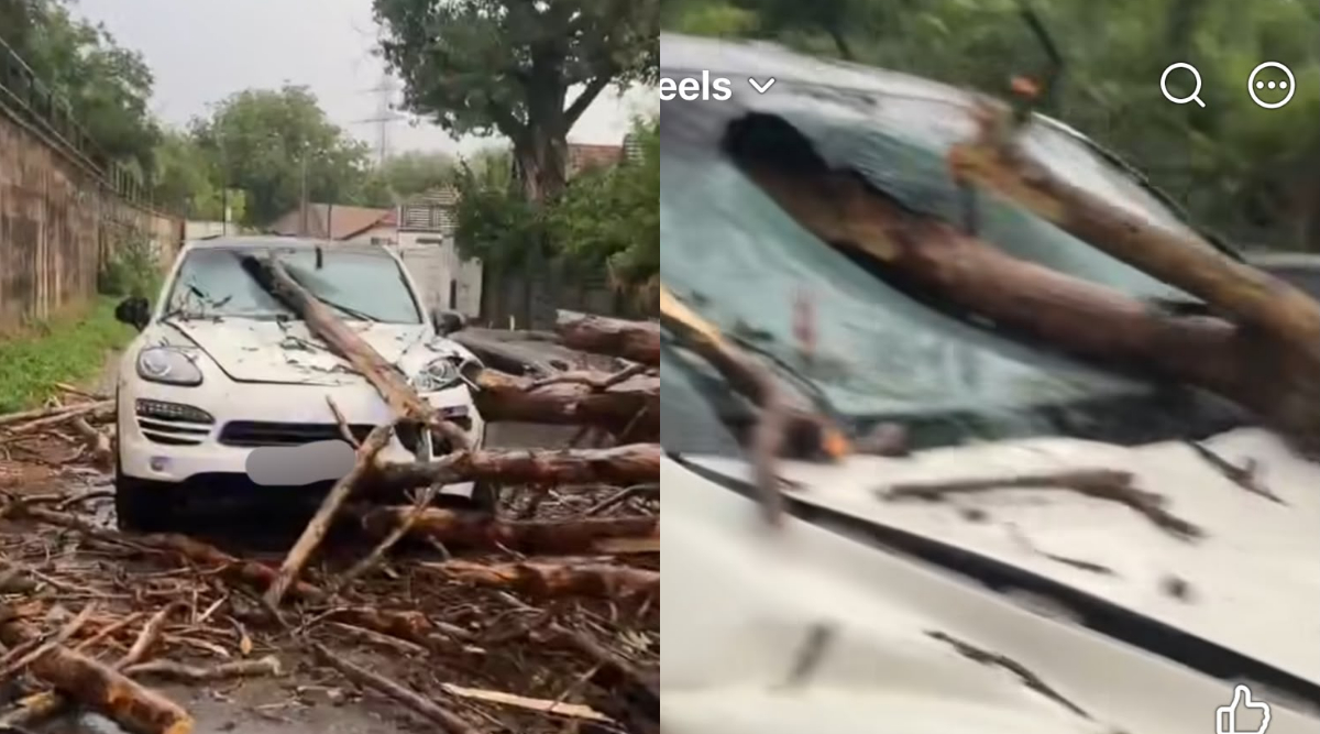Un cunoscut cântăreț din Gorj a trecut prin clipe de groază după ce un arbore i-a strivit mașina: ,,Era să mor”