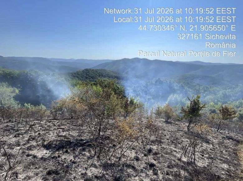 incendiu portile de fier