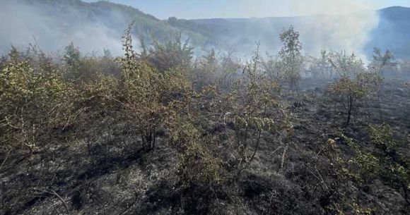 incendiu portile de fier