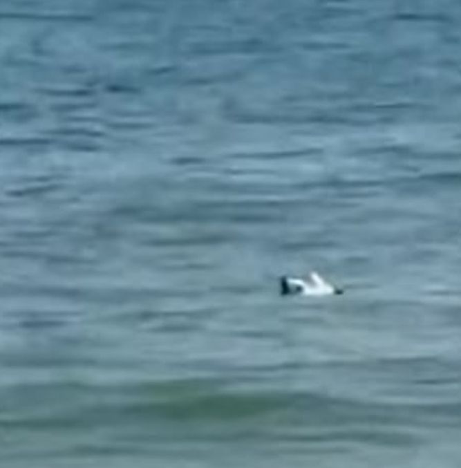 Dronă găsită în apele din Mamaia