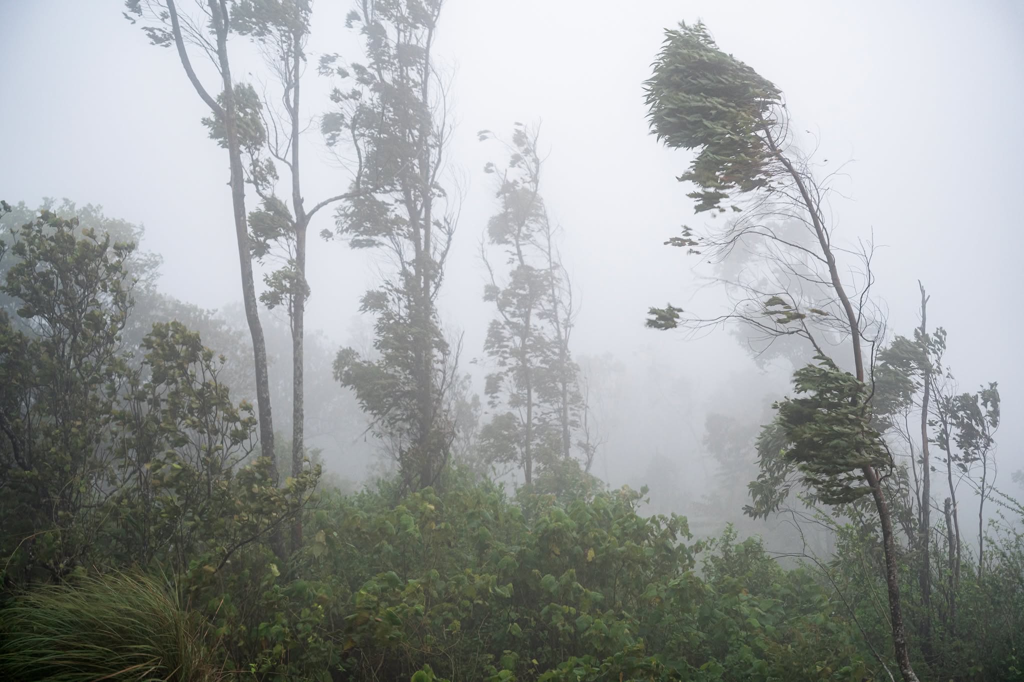 Urmează furtuni și vijelii după codul roșu de caniculă. Când încep fenomenele meteorologice extreme și ce județe vor fi cele mai afectate