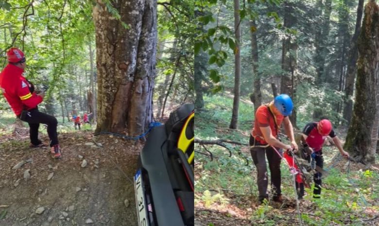 Un autoturism a căzut într-o prăpastie și a fost cuprins de foc sâmbătă dimineața