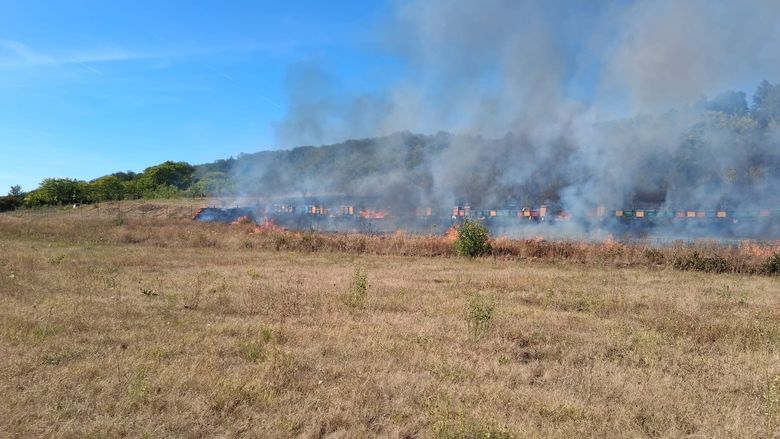 Incendiile de vegetație fac ravagii în Bihor.