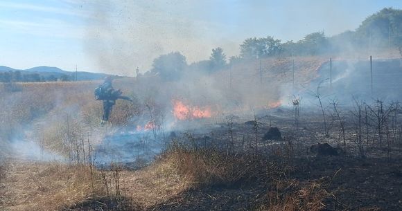 Incendiile de vegetație fac ravagii &icirc;n Bihor.
