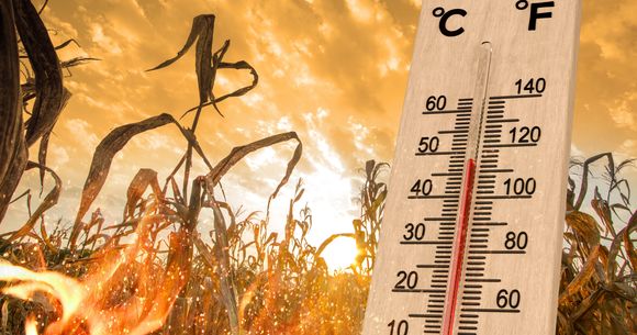 prognoza meteo 