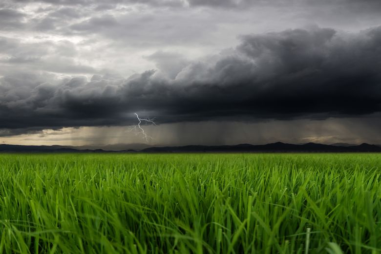 prognoza meteo 