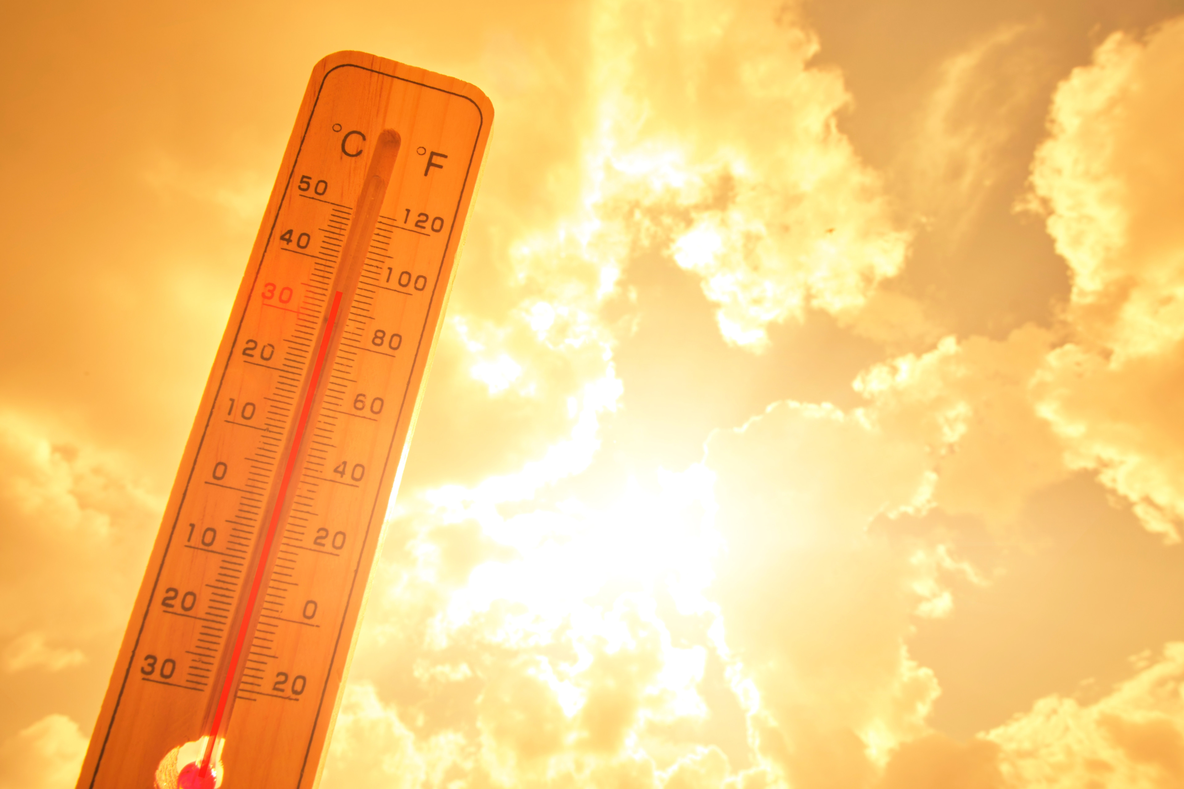 Val de căldură în România. Zonele cu temperaturi de până la 35 de grade
