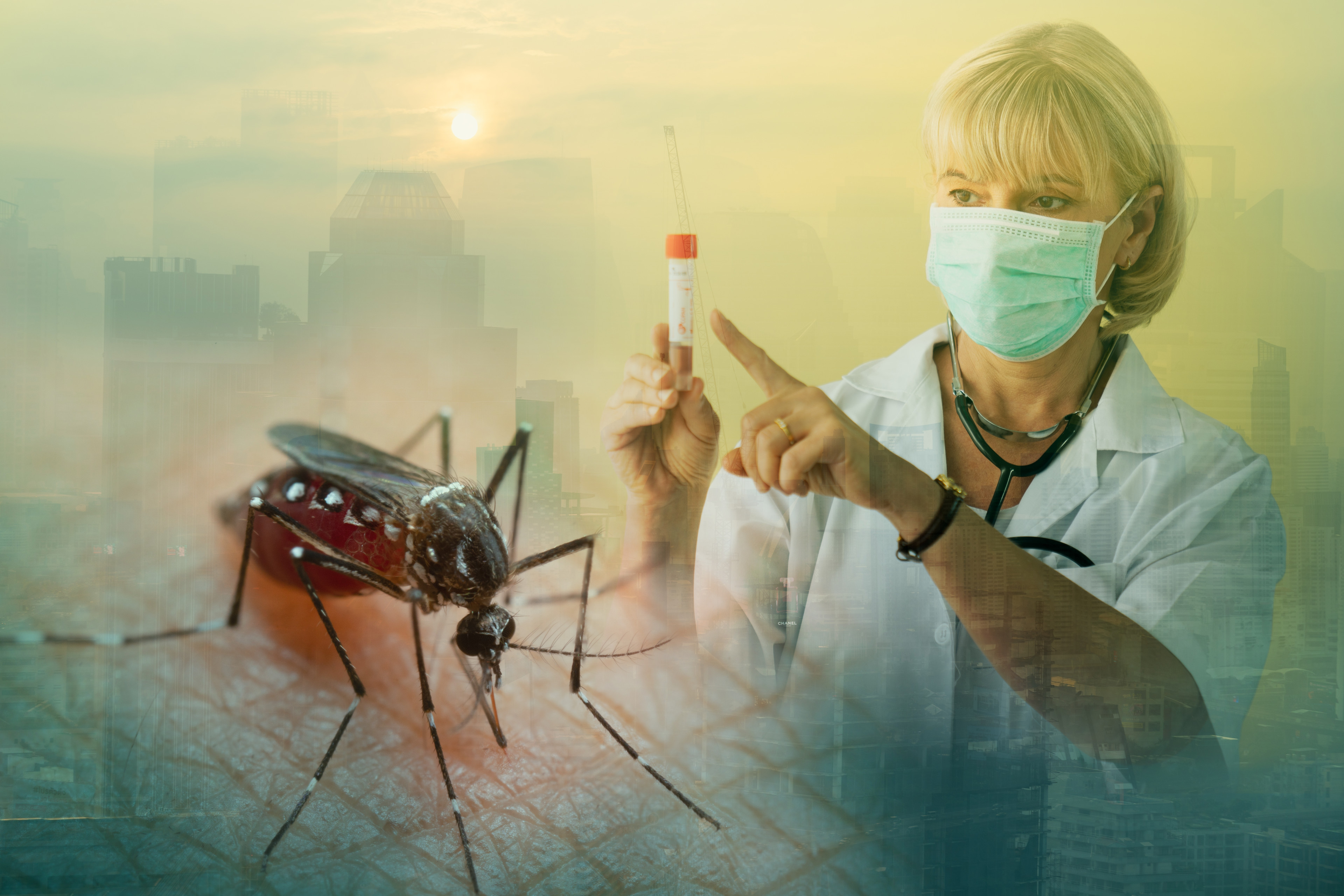 Au crescut cazurile de West Nile în România. Bucureștiul în topul orașelor celor mai afectate din țară