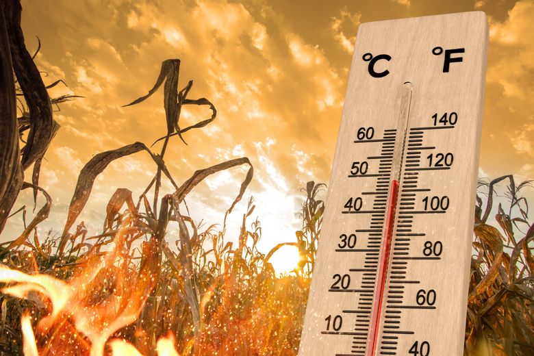Meteorologii anunță ploi, descărcări electrice și izolat grindină în mai multe regiuni.