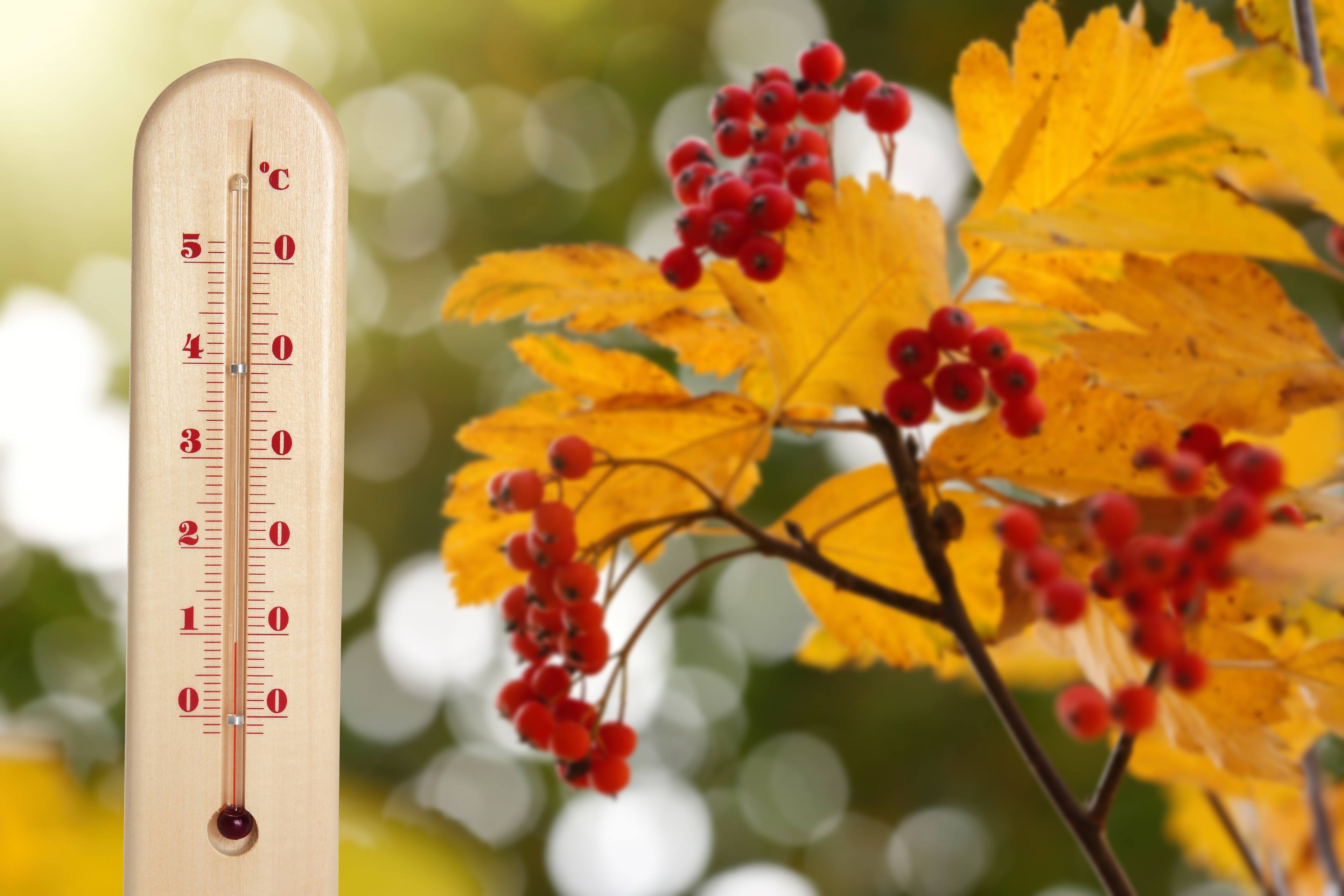 Prognoza meteo ANM pentru marți, 22 septembrie 2026: Temperaturile scad brusc și apar ninsorile