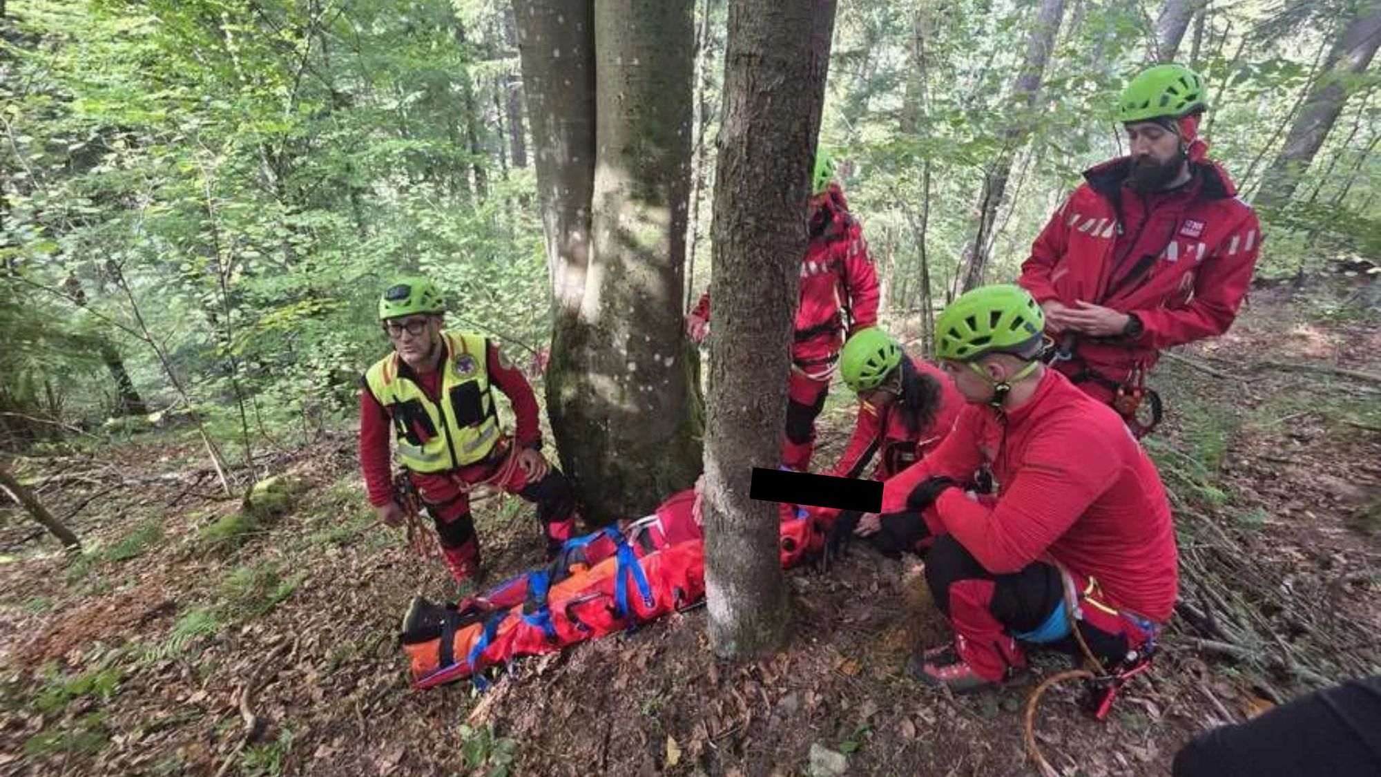 Incident mortal într-o pădure din județul Mureș! O persoană și-a pierdut viața, iar alte două sunt în stare gravă