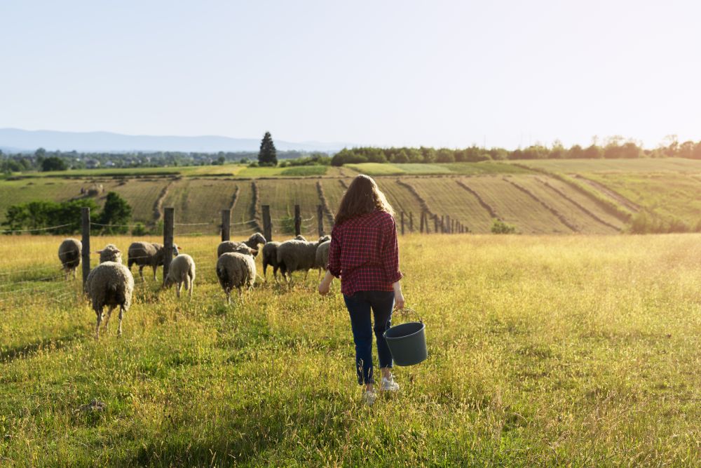 (P) Cele mai bune antiparazitare interne pentru animale