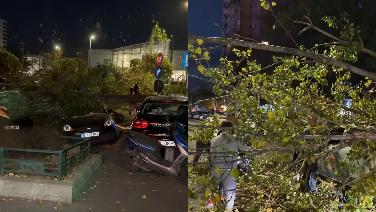 VIDEO Momentul în care un copac se prăbușește peste mai multe mașini, în București. Un livrator a fost vătămat