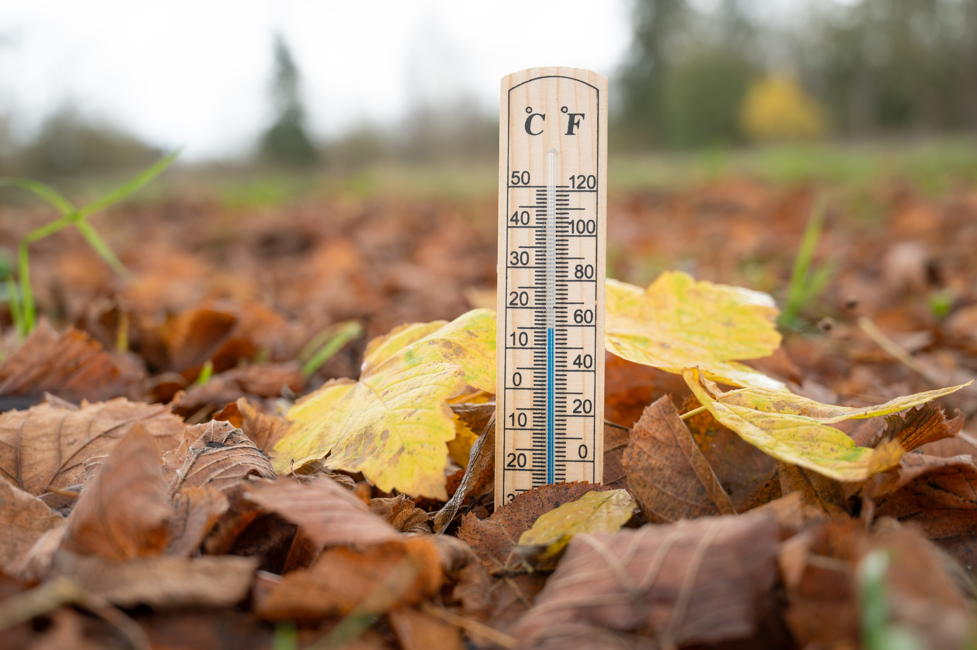 Prognoza meteo ANM vineri, 23 octombrie 2026. Meteorologii anunță ploi și vânt puternic în mai multe regiuni ale țării.