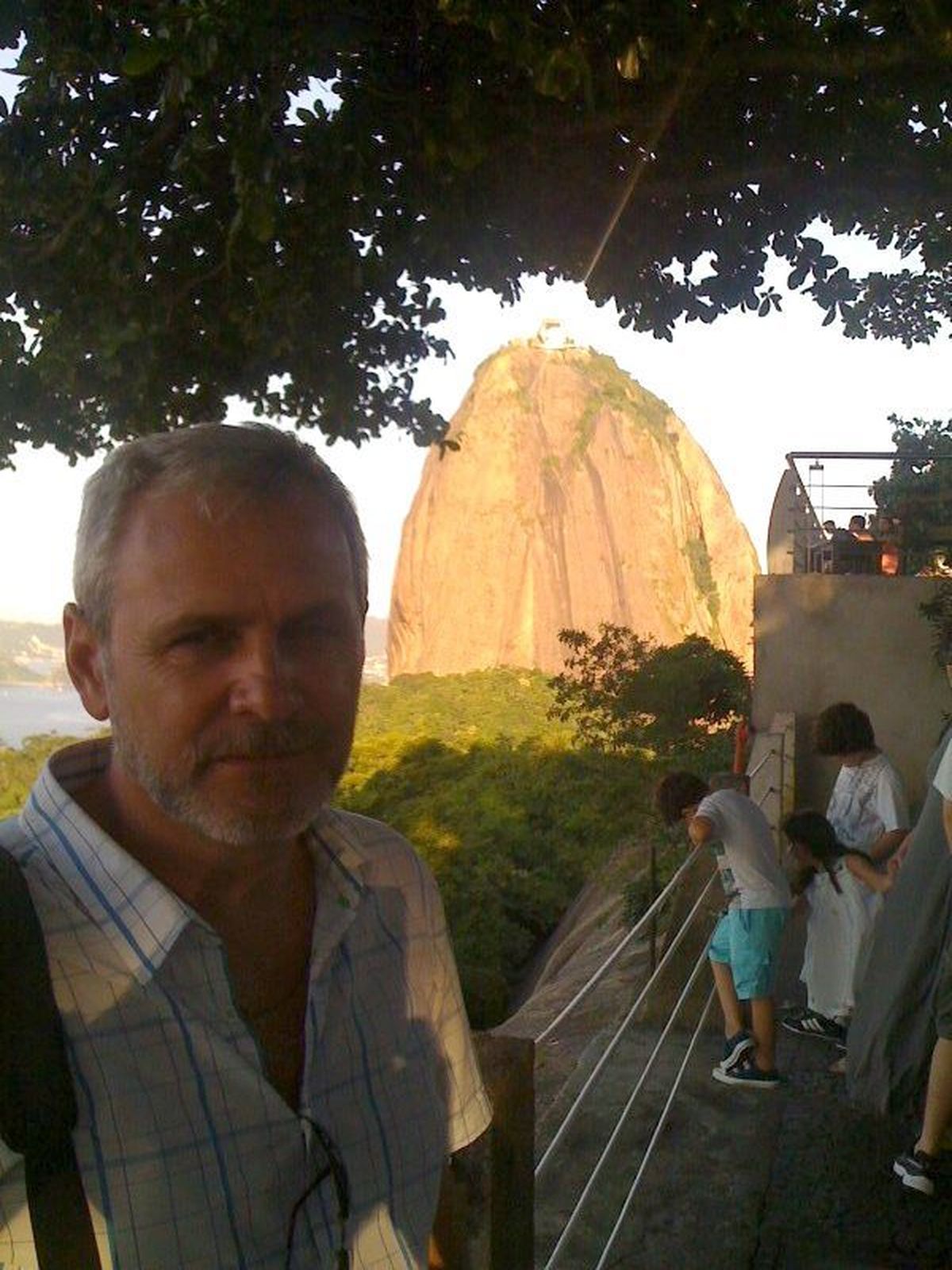 Cum Arata Liviu Dragnea Fara Mustata Kanal D Romania