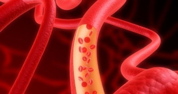 STIATI CA: Pentru fiecare fiecare jumatate de kg de grasime corpul dezvolta 11 kilometri de vase sanguine? Iata RASPUNSUL!