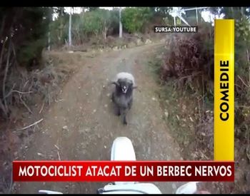 CE a patit un motociclist cand a das nas in nas cu un berbec. Merita VAZUT!