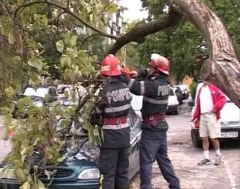 Ploile au facut prapad, din nou in tara! Sute de gopodarii sunt acoperite de ape