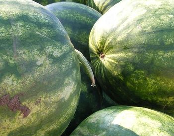 Asa iti dai seama daca pepenele pe care il cumperi este extrem de dulce si zemos! 3 semne de pe coaja la care trebuie sa fii atent