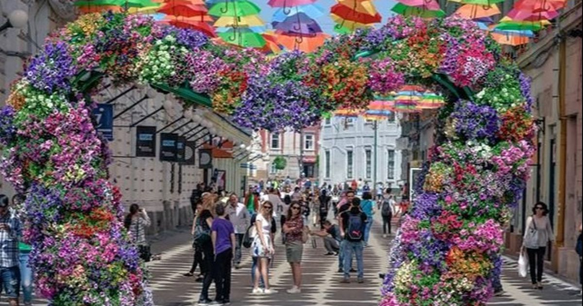 Astazi incepe TimFloralis, festivalul de flori de la Timisoara Kanal