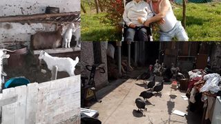 Povestea lui Gheorghe, românul care și-a vândut „averea” pentru tratamentul soției: „Două capre, patru bibilici și doi boboci”