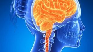 Coronavirusul distruge creierul, dar și alte organe. Ce trebuie să faci dacă ești infectat