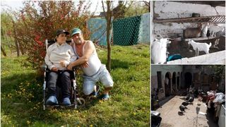 Gestul impresionant făcut de un bărbat pentru soția lui. El și-a scos animalele la v&acirc;nzare pentru a o salva