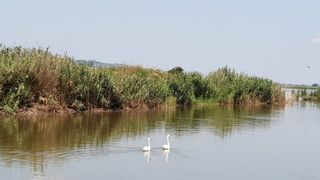 Delta ”ascunsă” a Moldovei. Este un loc de o frumusețe rară - VIDEO