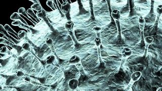 Două focare de COVID - 19 &icirc;n judeţul Timiş