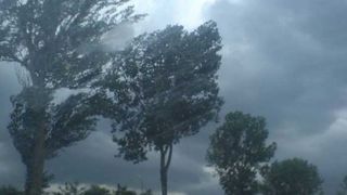 rom&acirc;nia inundații ploi