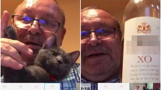 Ce câștiguri uriașe are Daniel Fenechiu, senatorul care s-a filmat în comisie cu sticla de coniac și cu motanul!