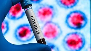 angajat ministerul economiei covid 19